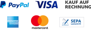 Paypal Plus Logo