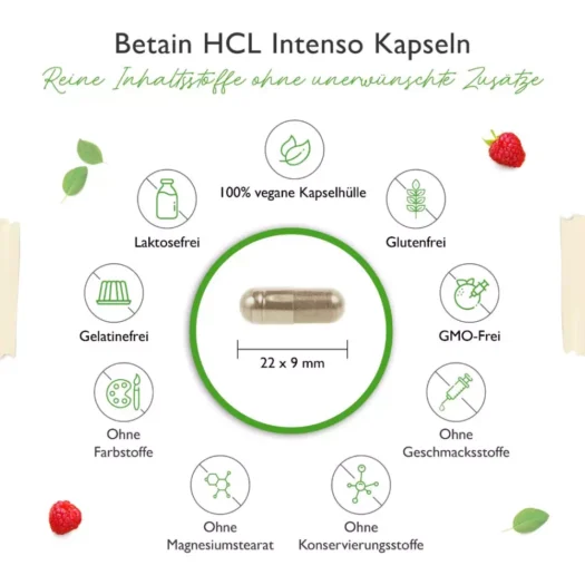 Vit4ever <br>Betain HCL - 240 Kapseln – Bild 3