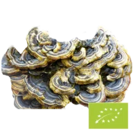 Natura Med <br>Bio Coriolus Pilzpulver - 100 g
