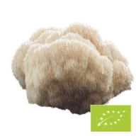 Natura Med <br>Bio Hericium Pilzpulver - 100 g