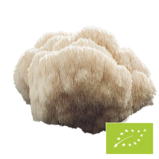 Natura Med <br>Bio Hericium Pilzpulver - 100 g