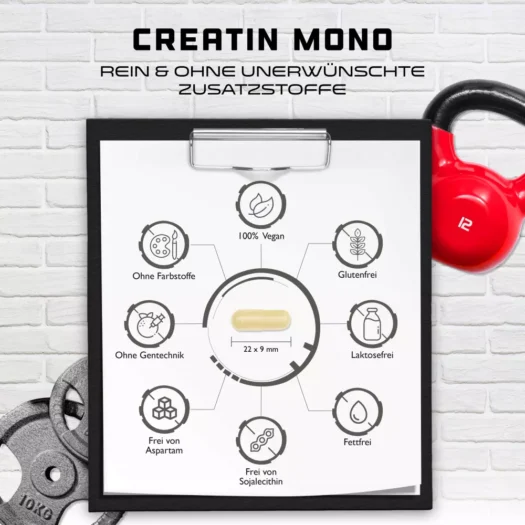 GEN <br>Creatin Monohydrat - 240 Kapseln – Bild 5