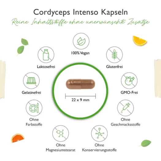 Vit4ever <br>Cordyceps Intenso Extrakt - 180 Kapseln – Bild 3