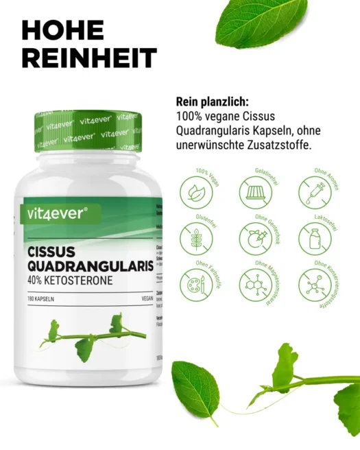 Vit4ever <br>Cissus Quadrangularis Extrakt - 180 Kapseln – Bild 4