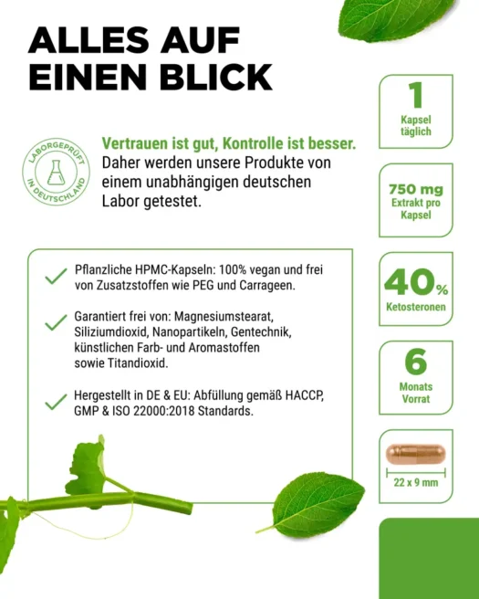 Vit4ever <br>Cissus Quadrangularis Extrakt - 180 Kapseln – Bild 5
