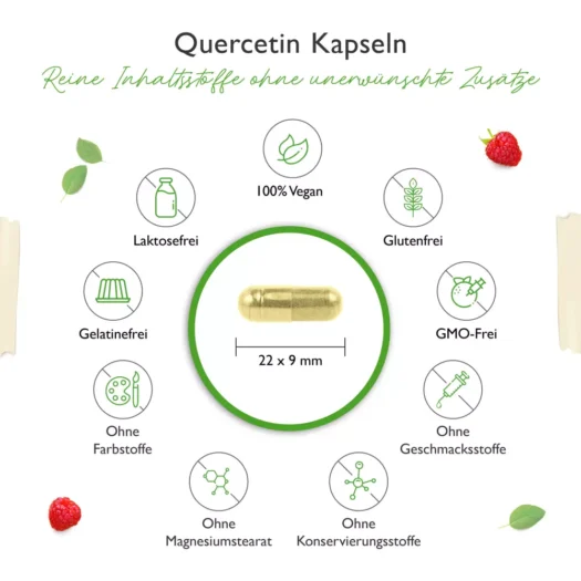 Vit4ever <br>Quercetin - 120 Kapseln – Bild 3