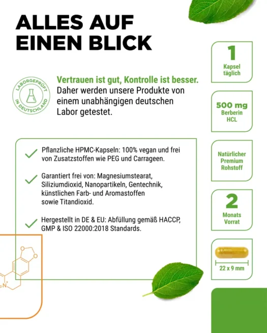 Vit4ever <br>Berberin HCL Intenso - 120 Kapseln – Bild 5