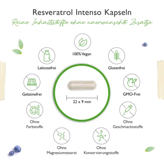 Vit4ever <br>Resveratrol - 60 Kapseln – Bild 3