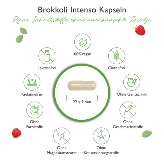 Vit4ever <br>Brokkoli Intenso Extrakt - 180 Kapseln – Bild 3
