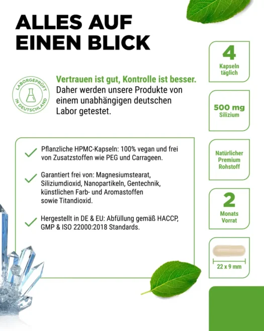 Vit4ever <br>Silizium - 240 Kapseln – Bild 5