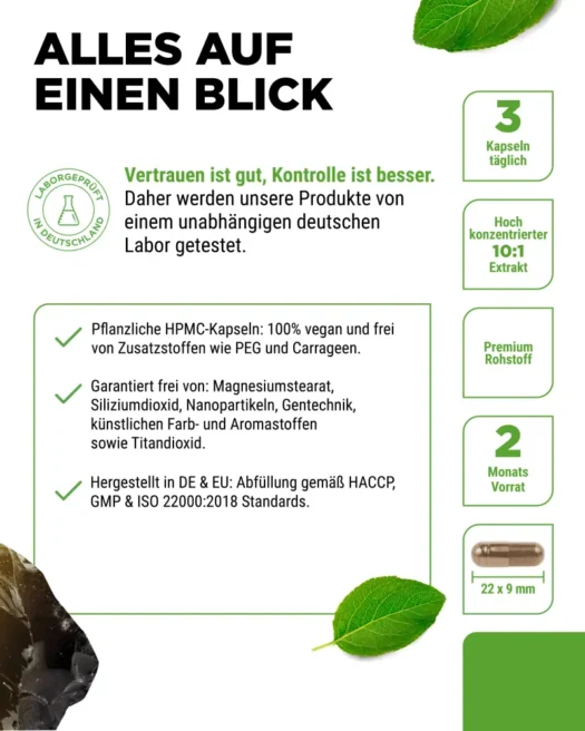 Vit4ever <br>Shilajit Mumijo - 180 Kapseln – Bild 5