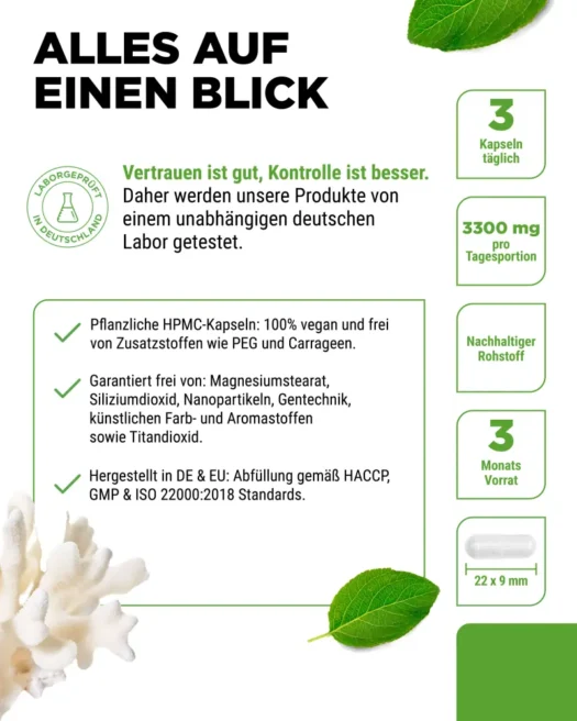 Vit4ever <br>Sango Meereskoralle - 240 Kapseln – Bild 5