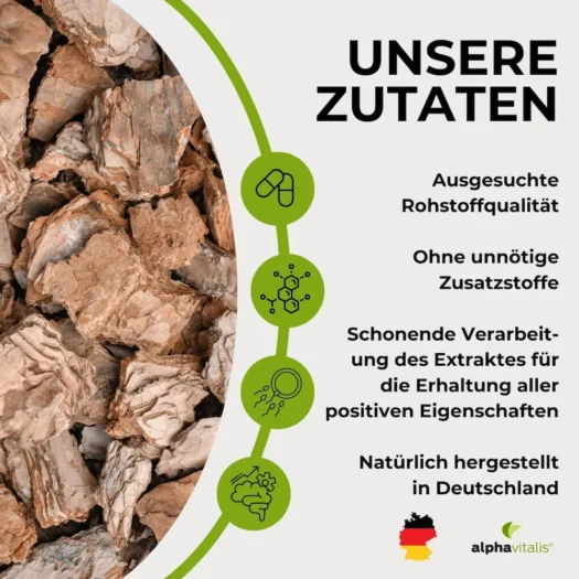 alphavitalis <br>Pinienrinden Extrakt (OPC) - 240 Kapseln – Bild 5