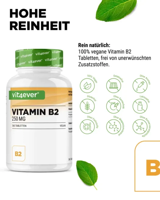 Vit4ever <br>Vitamin B2 - 365 Tabletten – Bild 4